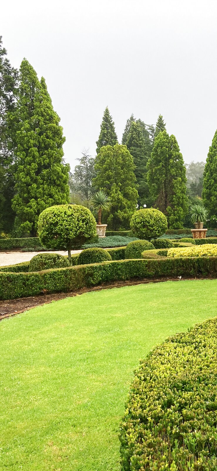 Neatly trimmed hedges and garden beds maintained by Martin's Lawn and Garden Care