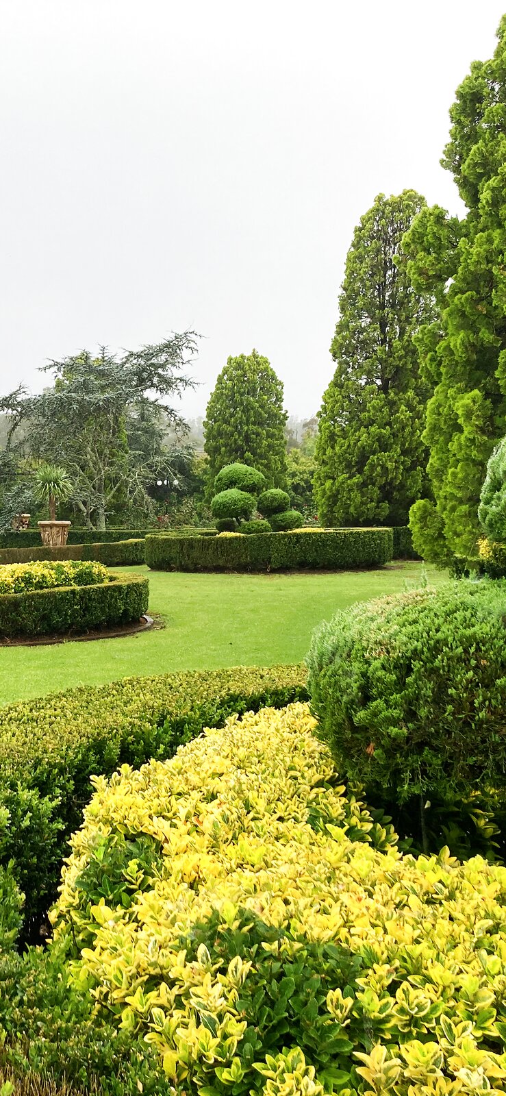 Freshly mowed lawn maintained by Martin's Lawn and Garden Care
