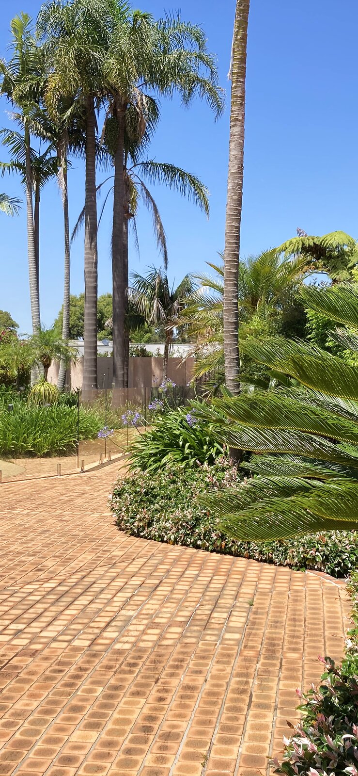 Well maintained hedge rows and garden